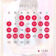 にと ごめんなさいと12月🎄 アロー