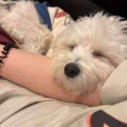 にと 🙇🏽‍♀️ アロー