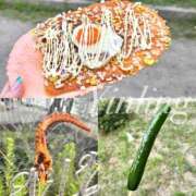 ヒメ日記 2025/07/25 20:22 投稿 皇　いんりん club BLENDA 天王寺・谷9天高ビル店