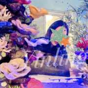 ヒメ日記 2025/08/21 05:19 投稿 皇　いんりん club BLENDA 天王寺・谷9天高ビル店