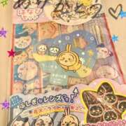 ヒメ日記 2025/08/25 03:00 投稿 皇　いんりん club BLENDA 天王寺・谷9天高ビル店