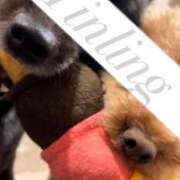 ヒメ日記 2025/09/05 21:16 投稿 皇　いんりん club BLENDA 天王寺・谷9天高ビル店