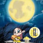 ヒメ日記 2025/10/13 00:30 投稿 皇　いんりん club BLENDA 天王寺・谷9天高ビル店