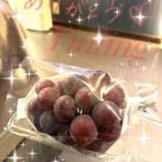 ヒメ日記 2025/10/23 23:13 投稿 皇　いんりん club BLENDA 天王寺・谷9天高ビル店