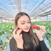 ヒメ日記 2026/01/14 23:28 投稿 皇　いんりん club BLENDA 天王寺・谷9天高ビル店