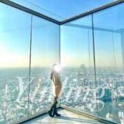 ヒメ日記 2026/01/25 17:52 投稿 皇　いんりん club BLENDA 天王寺・谷9天高ビル店