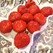 ヒメ日記 2026/03/16 18:18 投稿 皇　いんりん club BLENDA 天王寺・谷9天高ビル店