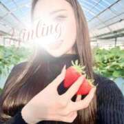 ヒメ日記 2026/03/20 01:46 投稿 皇　いんりん club BLENDA 天王寺・谷9天高ビル店