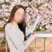 ヒメ日記 2026/03/28 06:29 投稿 皇　いんりん club BLENDA 天王寺・谷9天高ビル店