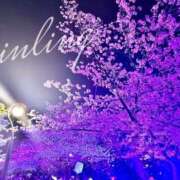 ヒメ日記 2026/04/05 09:02 投稿 皇　いんりん club BLENDA 天王寺・谷9天高ビル店