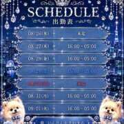 ヒメ日記 2026/08/27 00:54 投稿 皇　いんりん club BLENDA 天王寺・谷9天高ビル店