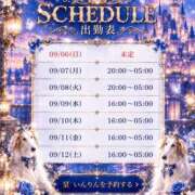 ヒメ日記 2026/09/07 08:36 投稿 皇　いんりん club BLENDA 天王寺・谷9天高ビル店