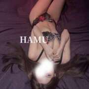 ヒメ日記 2025/09/25 20:15 投稿 はむ PINK PLANET