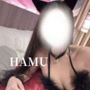 ヒメ日記 2025/10/24 19:05 投稿 はむ PINK PLANET