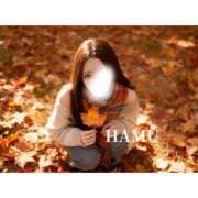 ヒメ日記 2025/11/13 18:55 投稿 はむ PINK PLANET