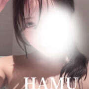 ヒメ日記 2026/01/24 19:45 投稿 はむ PINK PLANET