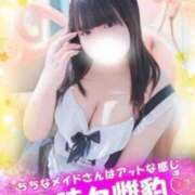 ヒメ日記 2025/06/04 19:35 投稿 ひより 君とふわふわプリンセスin立川