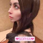 ヒメ日記 2025/03/01 07:05 投稿 ソフィア VIPクリスタル