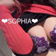 ヒメ日記 2025/03/10 07:51 投稿 ソフィア VIPクリスタル