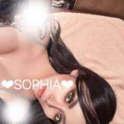 ヒメ日記 2025/03/20 08:06 投稿 ソフィア VIPクリスタル