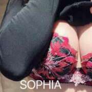 ヒメ日記 2025/03/21 07:54 投稿 ソフィア VIPクリスタル