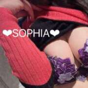 ヒメ日記 2025/06/05 12:44 投稿 ソフィア VIPクリスタル