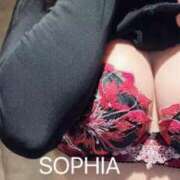 ヒメ日記 2025/07/16 06:55 投稿 ソフィア VIPクリスタル