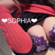 ヒメ日記 2025/07/27 07:11 投稿 ソフィア VIPクリスタル