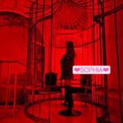 ヒメ日記 2025/09/03 17:53 投稿 ソフィア VIPクリスタル