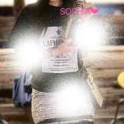 ヒメ日記 2025/09/11 06:30 投稿 ソフィア VIPクリスタル