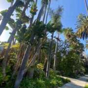 ヒメ日記 2025/11/07 12:04 投稿 ソフィア VIPクリスタル