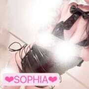 ヒメ日記 2025/11/18 10:38 投稿 ソフィア VIPクリスタル