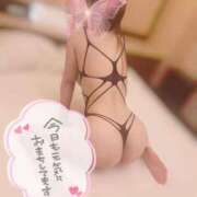 ヒメ日記 2025/10/14 16:32 投稿 かをる プロフィール 岡山店