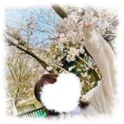 ヒメ日記 2025/03/26 20:42 投稿 かれん アイドルチェッキーナ本店