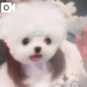 ヒメ日記 2025/04/01 21:52 投稿 かれん アイドルチェッキーナ本店