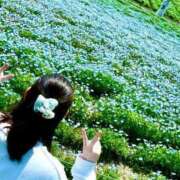 ヒメ日記 2025/04/01 22:12 投稿 かれん アイドルチェッキーナ本店