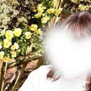 ヒメ日記 2025/04/03 06:42 投稿 かれん アイドルチェッキーナ本店