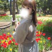 ヒメ日記 2025/04/11 01:10 投稿 しい【G乳ご奉仕アイドル】 STELLA TOKYO－ステラトウキョウ－