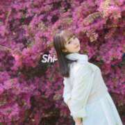 ヒメ日記 2025/04/11 16:56 投稿 しい【G乳ご奉仕アイドル】 STELLA TOKYO－ステラトウキョウ－