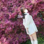 ヒメ日記 2025/04/19 11:18 投稿 しい【G乳ご奉仕アイドル】 STELLA TOKYO－ステラトウキョウ－