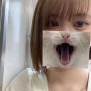 ヒメ日記 2025/06/03 08:50 投稿 ゆき☆未経験で未開発激かわJK JKサークル