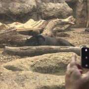 ヒメ日記 2025/08/14 21:44 投稿 ゆき☆未経験で未開発激かわJK JKサークル