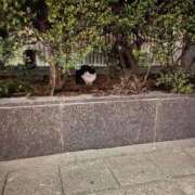 ヒメ日記 2025/11/27 20:25 投稿 ゆき☆未経験で未開発激かわJK JKサークル