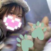 ヒメ日記 2025/11/30 23:15 投稿 ゆき☆未経験で未開発激かわJK JKサークル