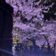 ヒメ日記 2026/04/03 19:31 投稿 ゆき☆未経験で未開発激かわJK JKサークル