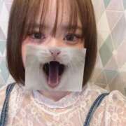 ヒメ日記 2026/04/04 07:45 投稿 ゆき☆未経験で未開発激かわJK JKサークル