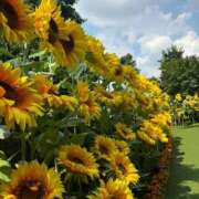 ヒメ日記 2025/06/18 07:59 投稿 EMIKA『エミカ』 GG