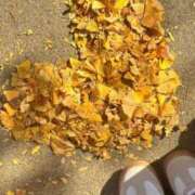 ヒメ日記 2025/11/19 12:49 投稿 EMIKA『エミカ』 GG