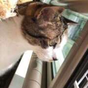 ヒメ日記 2025/04/09 14:35 投稿 あみ 渋谷くいーんず