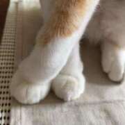 ヒメ日記 2025/05/11 17:30 投稿 あみ 渋谷くいーんず